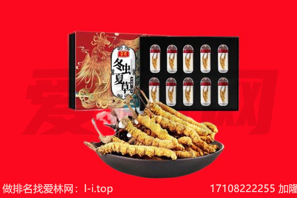 南阳市卧龙回收虫草.jpg